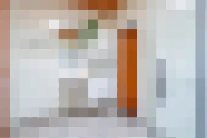 Schaapsheul 3 Gorinchem thumbnail 13
