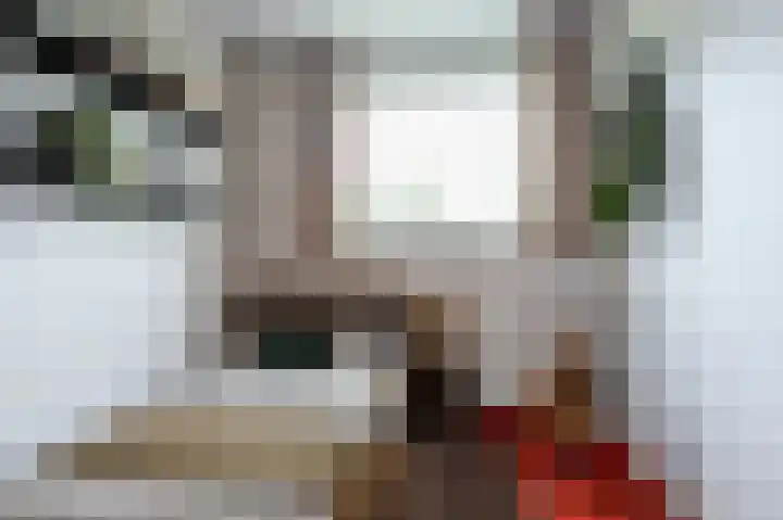 Schaapsheul 3 Gorinchem thumbnail 17