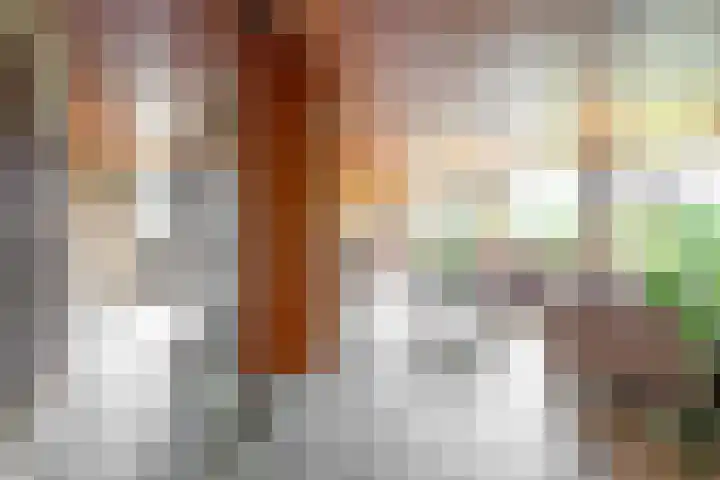Schaapsheul 3 Gorinchem thumbnail 19