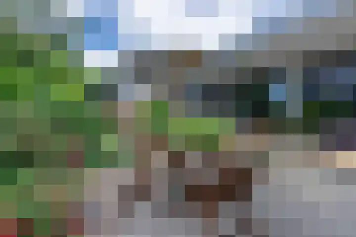 Schaapsheul 3 Gorinchem thumbnail 20