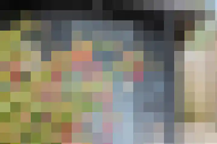 Schaapsheul 3 Gorinchem thumbnail 21