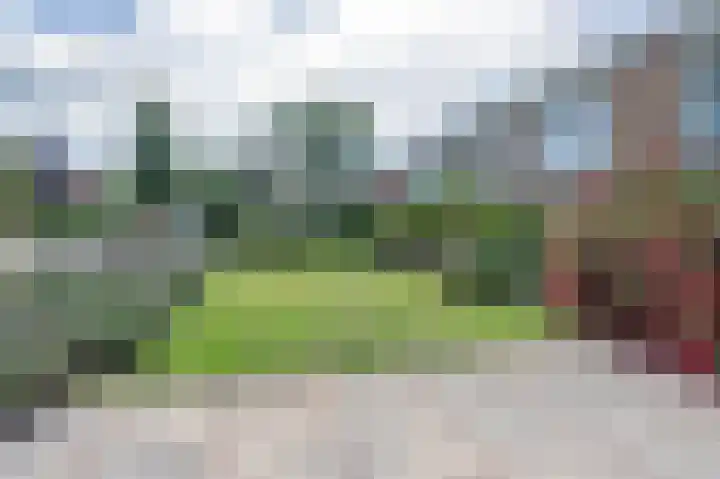 Schaapsheul 3 Gorinchem thumbnail 24