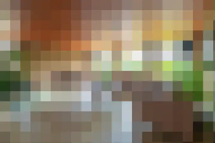 Schaapsheul 3 Gorinchem thumbnail 4