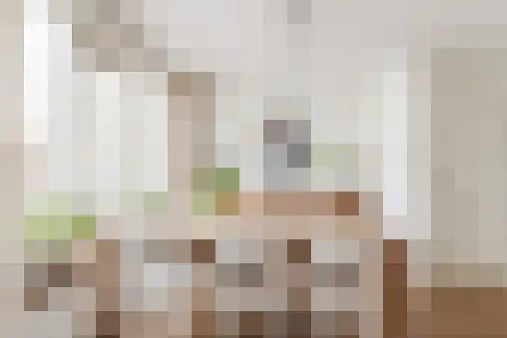 Schaapskuil 9 Bladel thumbnail 11