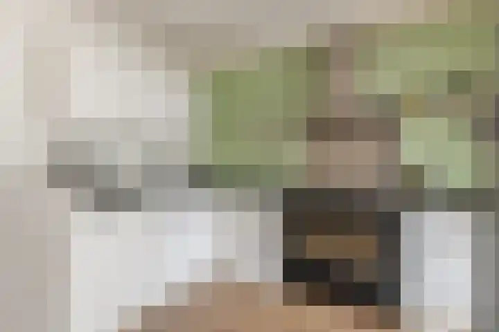 Schaapskuil 9 Bladel thumbnail 12