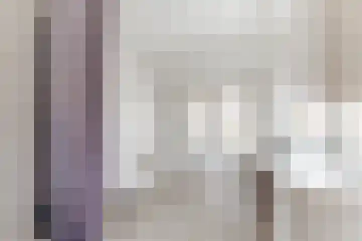 Schaapskuil 9 Bladel thumbnail 21