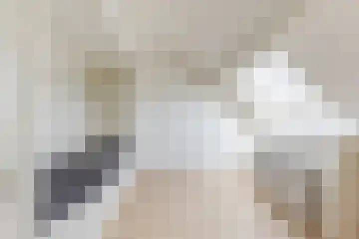 Schaapskuil 9 Bladel thumbnail 26