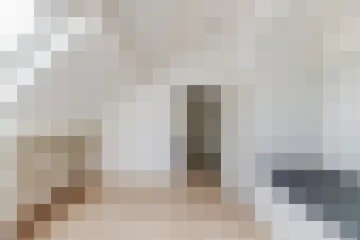 Schaapskuil 9 Bladel thumbnail 27
