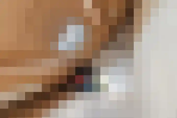 Schaapskuil 9 Bladel thumbnail 28