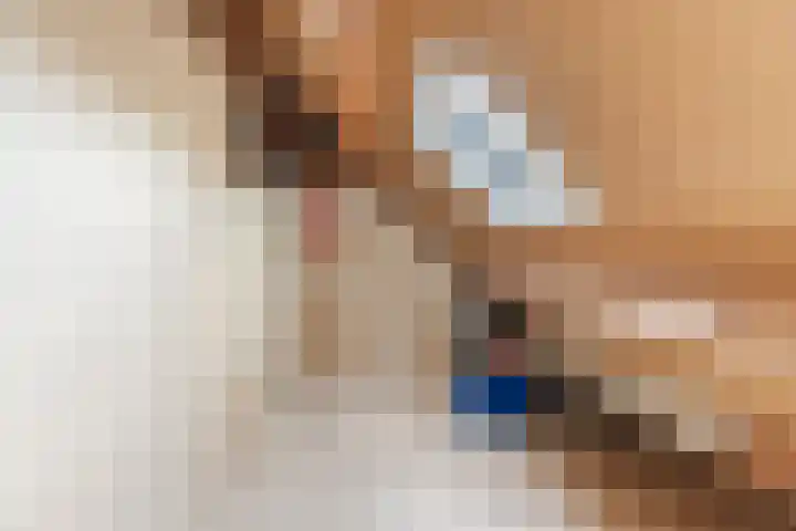 Schaapskuil 9 Bladel thumbnail 29