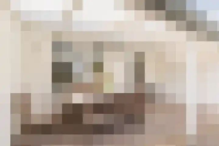 Schaapskuil 9 Bladel thumbnail 31