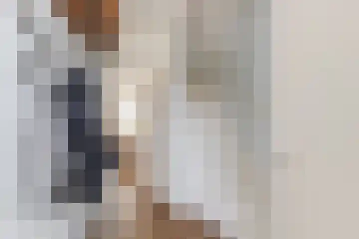 Schaapskuil 9 Bladel thumbnail 4