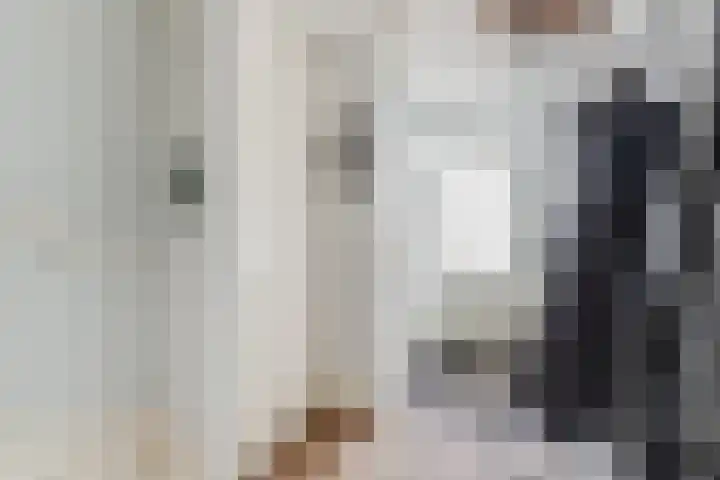 Schaapskuil 9 Bladel thumbnail 5