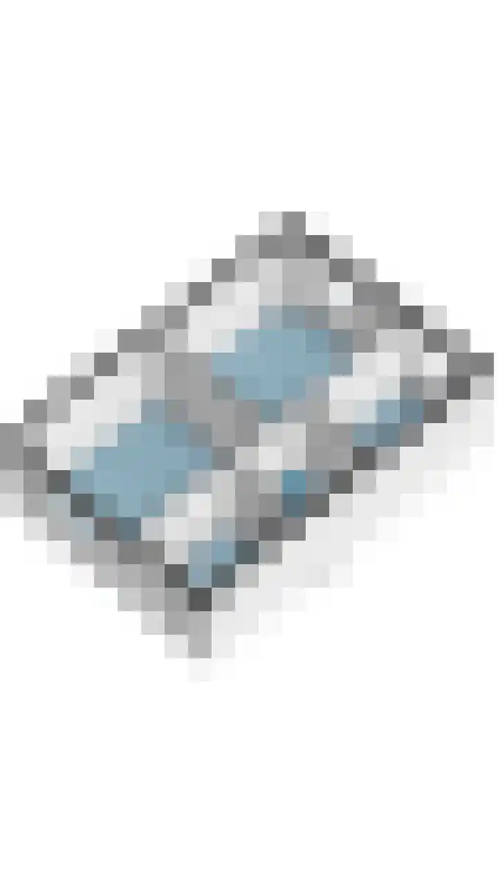 Schaapskuil 9 Bladel thumbnail 51