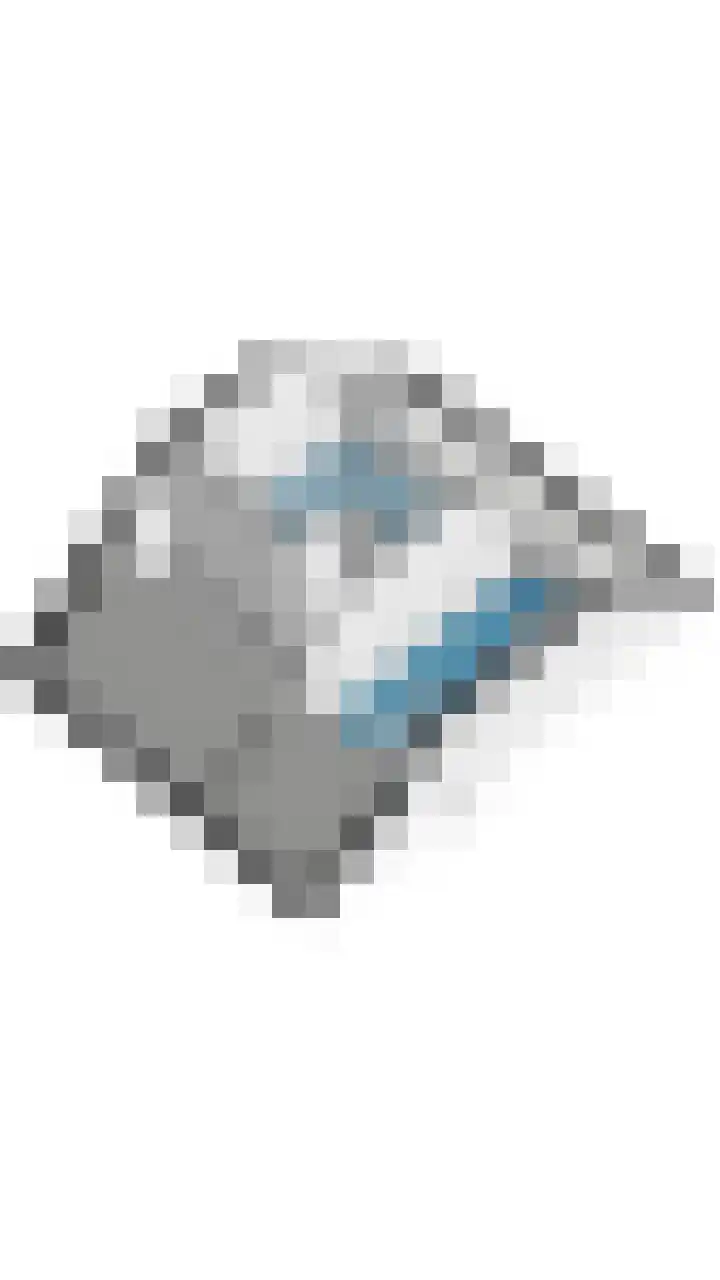 Schaapskuil 9 Bladel thumbnail 53