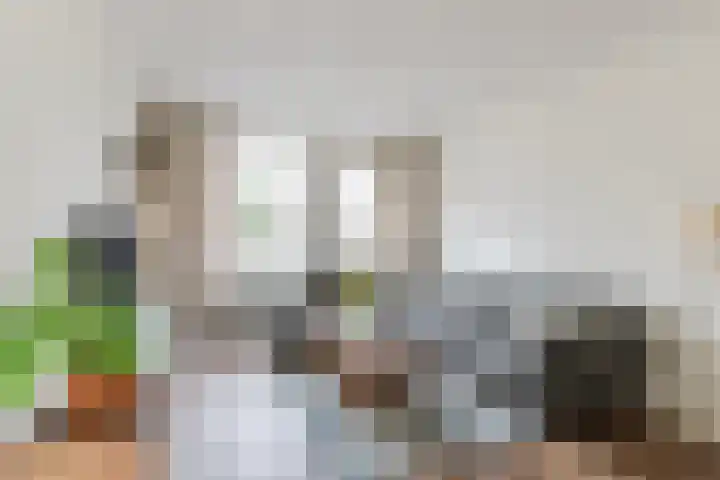 Schaapskuil 9 Bladel thumbnail 7