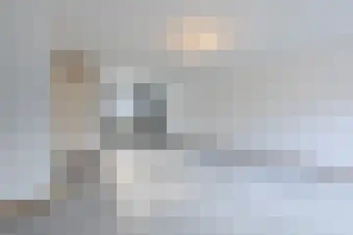 Schaapsloopven 35 Eindhoven thumbnail 10