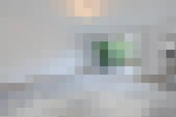 Schaapsloopven 35 Eindhoven thumbnail 14