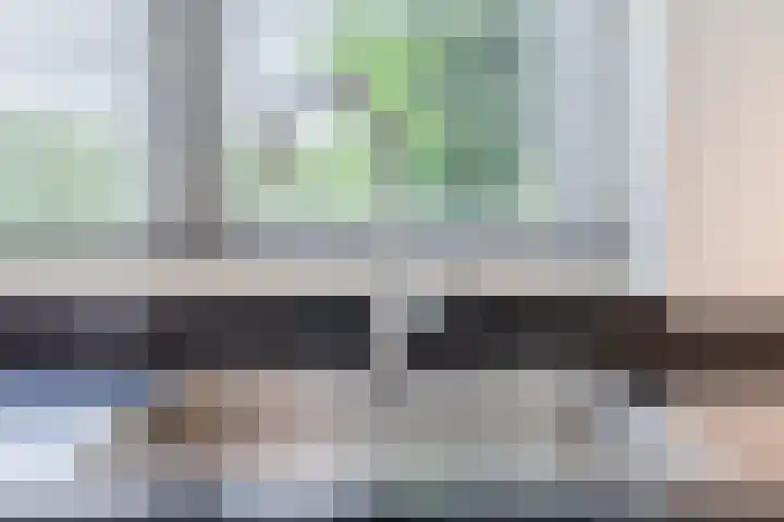 Schaapsloopven 35 Eindhoven thumbnail 19