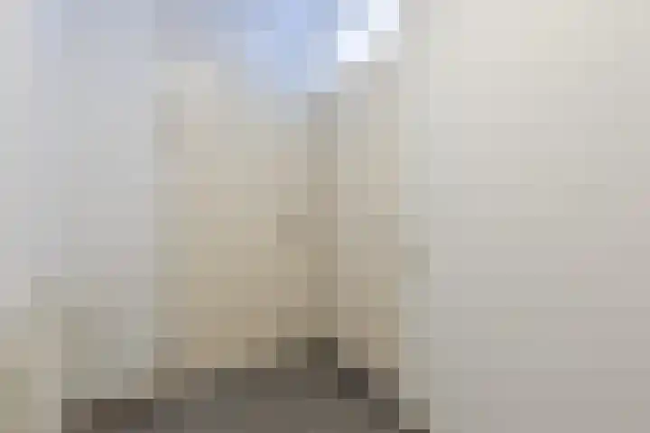 Schaapsloopven 35 Eindhoven thumbnail 21