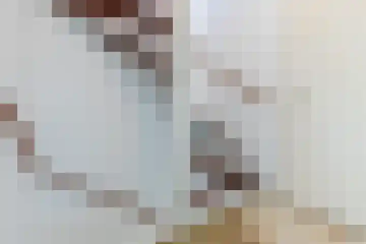 Schaapsloopven 35 Eindhoven thumbnail 24