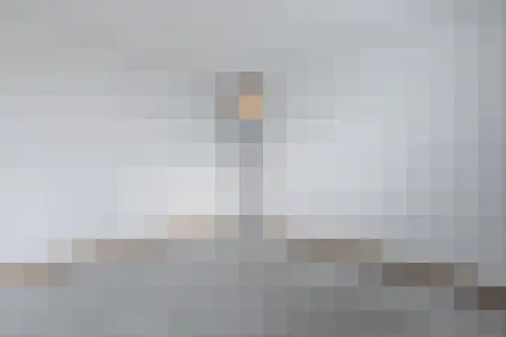 Schaapsloopven 35 Eindhoven thumbnail 27