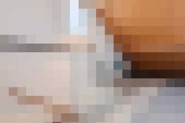Schaapsloopven 35 Eindhoven thumbnail 36