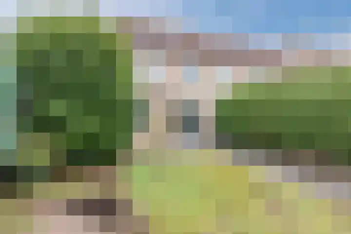 Schaapsloopven 35 Eindhoven thumbnail 45