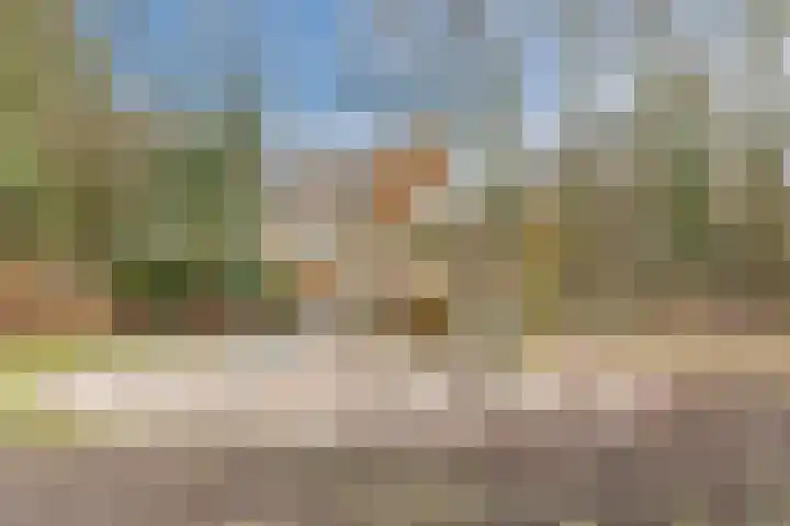 Schaapsloopven 35 Eindhoven thumbnail 46