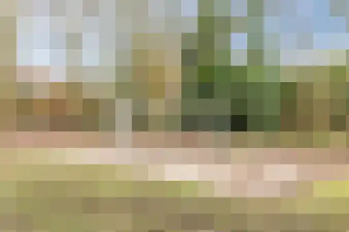 Schaapsloopven 35 Eindhoven thumbnail 47