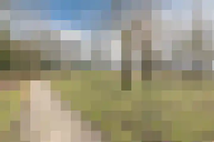 Schaapsloopven 35 Eindhoven thumbnail 48