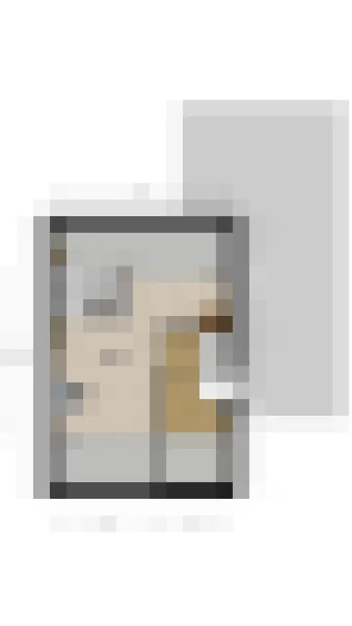 Schaapsloopven 35 Eindhoven thumbnail 52