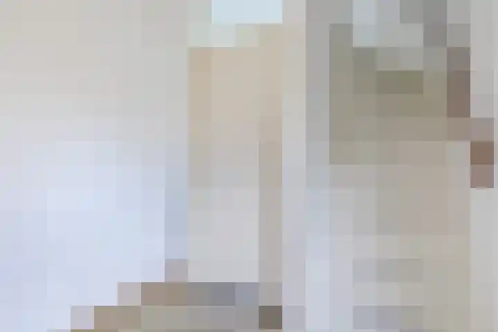 Schaapsloopven 35 Eindhoven thumbnail 8