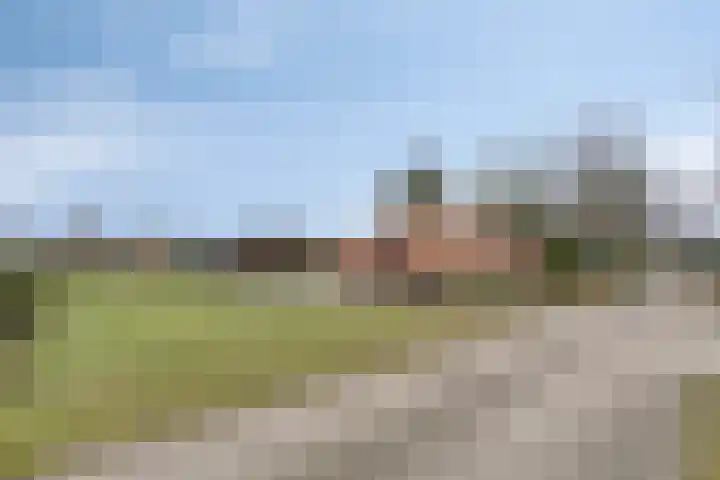 Schaapstreek 1 Ees