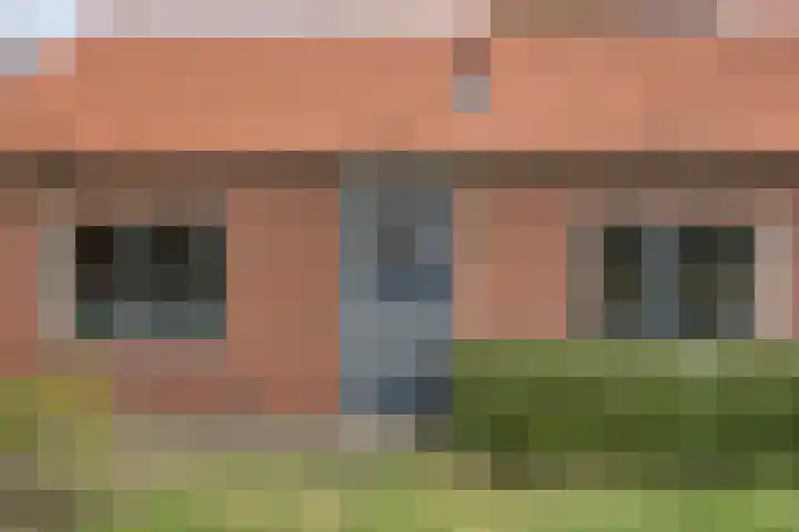 Schaapstreek 1 Ees thumbnail 10