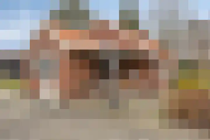 Schaapstreek 1 Ees thumbnail 11