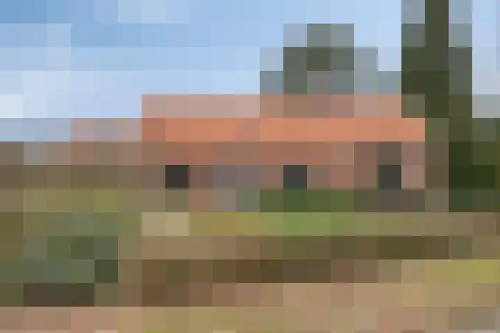 Schaapstreek 1 Ees foto 2