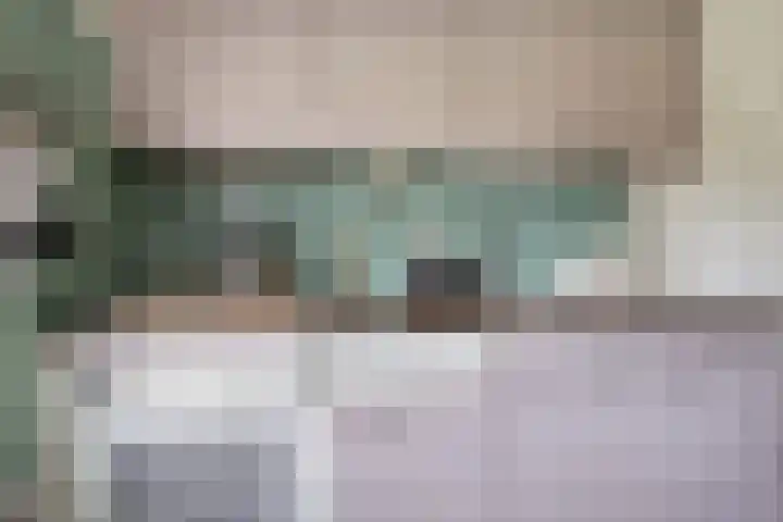 Schaapstreek 1 Ees thumbnail 21