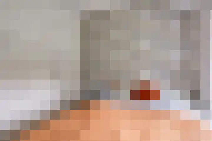 Schaapstreek 1 Ees thumbnail 24