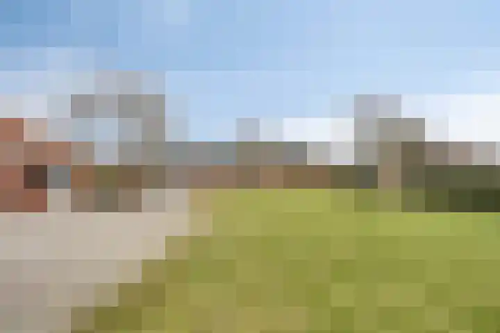 Schaapstreek 1 Ees thumbnail 31