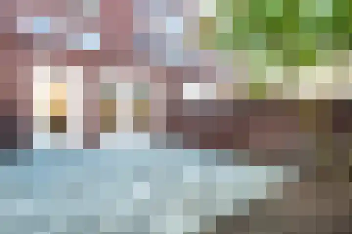 Schaapstreek 1 Ees thumbnail 34