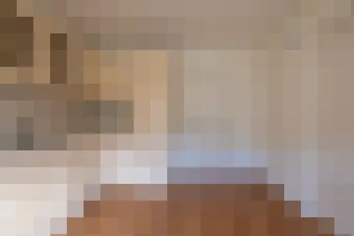 Schaapstreek 1 Ees thumbnail 9