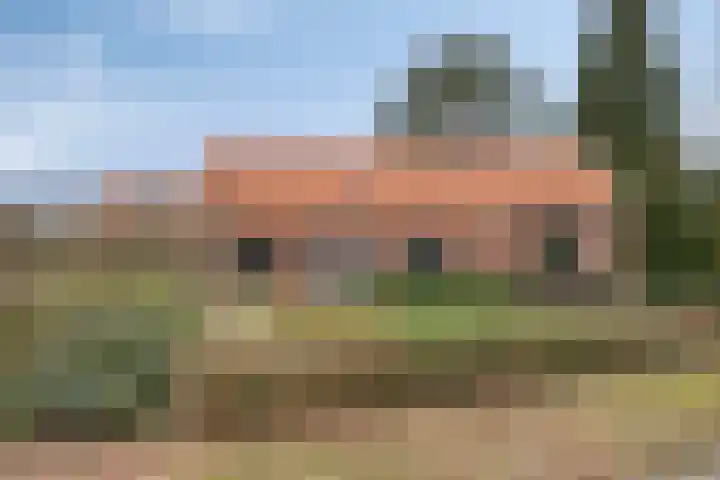 Schaapstreek 1 Ees thumbnail 9