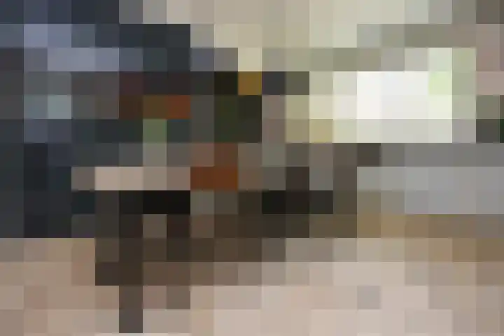 Schaapsweg 15 Ede thumbnail 16