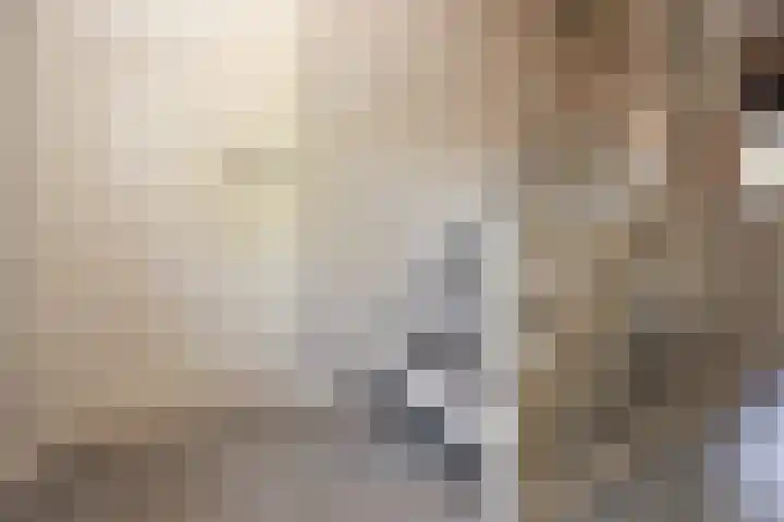 Schaapsweg 15 Ede thumbnail 19