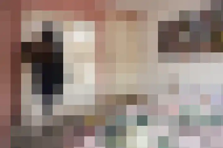Schaapsweg 15 Ede thumbnail 22