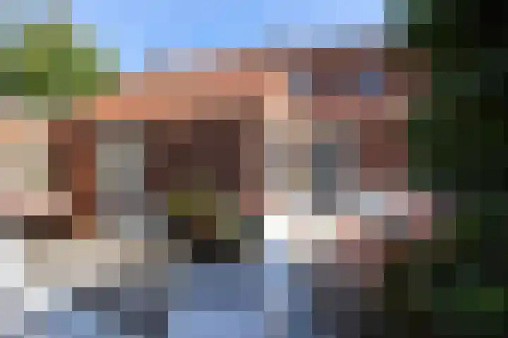 Schaapsweg 15 Ede thumbnail 32