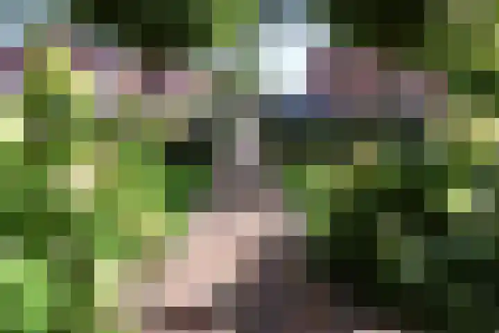 Schaapsweg 15 Ede thumbnail 37