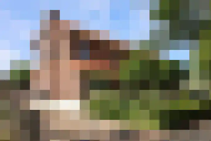 Schaapsweg 15 Ede thumbnail 38
