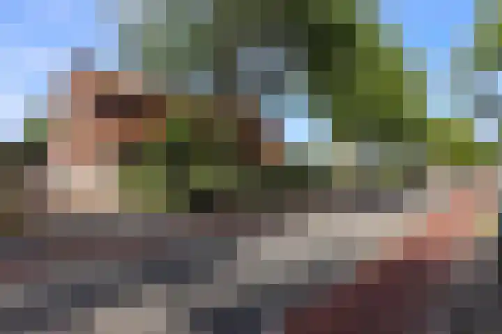 Schaapsweg 15 Ede thumbnail 4